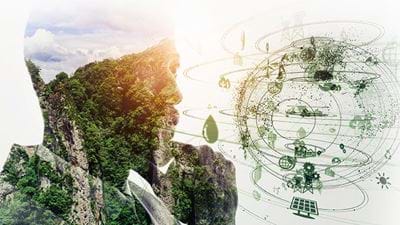 Sustainable Business Decisions